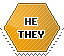 he/they